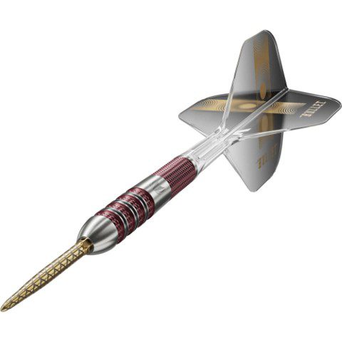 Target Stephen Bunting 95K Swiss Point 95% - Fléchettes