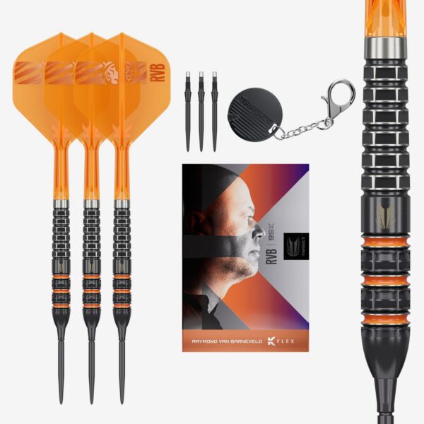Target Raymond van Barneveld 95K 95% Tungsten Darts